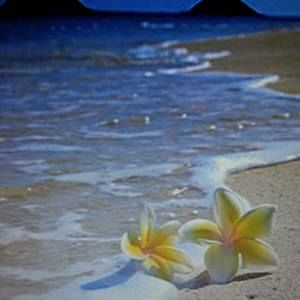 Meet your Posher, Mira